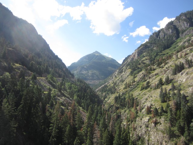IMG_4449.JPG